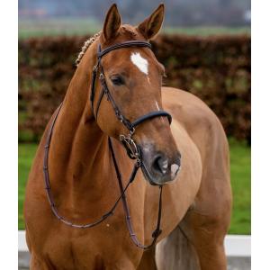 Trust（トラスト）　ハックモア頭絡（手綱付）