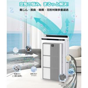 シャープ SHARP 空気清浄機フィルター 互...の詳細画像4