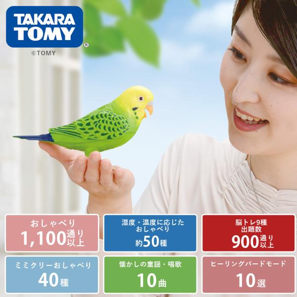 毎日おしゃべり天才インコちゃん