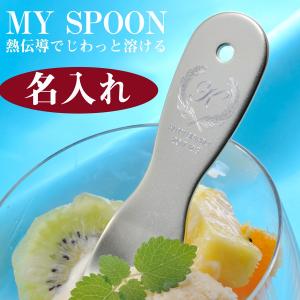 アイスクリーム スプーン アイスクリームディッシャー 熱伝導ハンドル