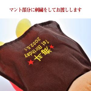 名入れ ギフト アンパンマン 名入れ 抱き枕 ...の詳細画像1
