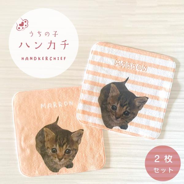 うちの子ハンカチ ミニタオル  写真 名入れ 2枚セット 20×20cm ボーダー柄 ペット 犬 猫...