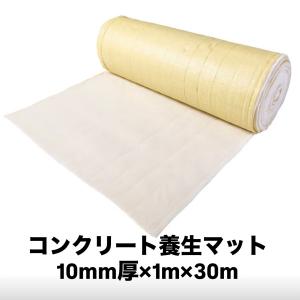 アイスクリームブレンダー SF01 【個人宅不可/代引不可/オカネツ工業