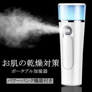 微粒子ミスト お肌の乾燥対策 加湿 ポータブル加...の商品画像