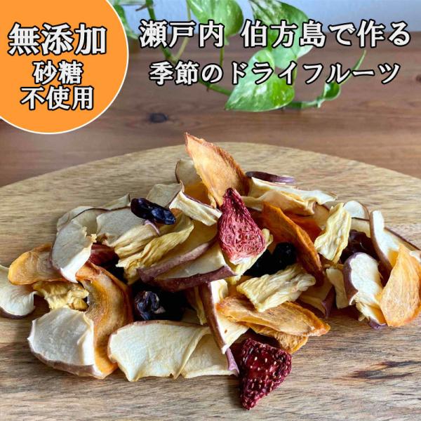 ドライフルーツ ミックス 無添加 砂糖不使用 旬の果物 大粒 50g  国産 リンゴ イチジク 無花...