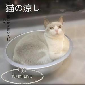 猫 冷感ベッド キャット 冷感 冷却 夏用 ベッド ひんやりクール 猫鍋 クール 猫用 COOL ジ...