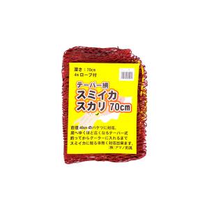 アマノ釣具 ANO20 テーパー網スミイカスカリ 70cm(amano-045914)[M便 1
