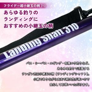 折りたたみ ランディングネットセット フライデ...の詳細画像1