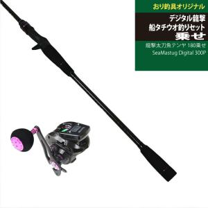 DAIWA（釣り） ダイワ バスロッド クロノス 662LS 2ピース