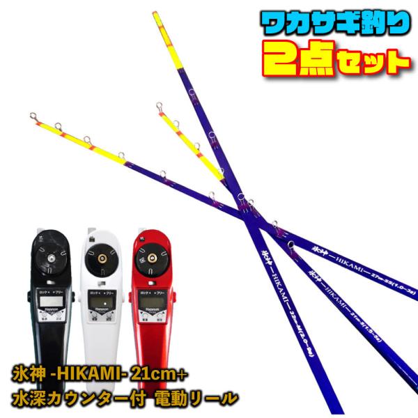 ゴクスペ氷神21cm1本-S＆ハピソン高トルク電動リールセット-レッド(wakasagi-h21-r...