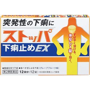 ライオンストッパ下痢止めEX 　12回分（12錠）  〔2類医〕/ゆうメール発送｜orion-ph