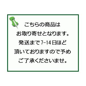 ★カロナールA 24錠〔第2類医〕/ゆうメール...の詳細画像2
