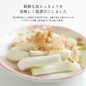 島らっきょう塩漬け 60g 沖縄土産 オリオン...の詳細画像1
