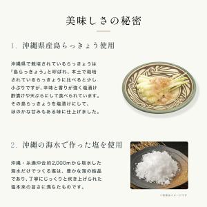 島らっきょう塩漬け 60g 沖縄土産 オリオン...の詳細画像2