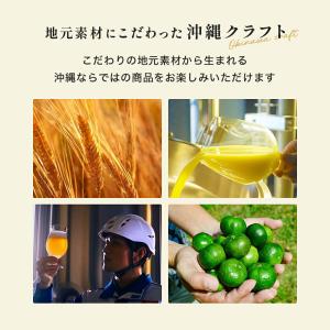 ビール ギフト セット 飲み比べ オリオンビー...の詳細画像3