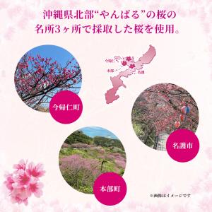 ビール ギフト 限定 オリオン いちばん桜 詰...の詳細画像3