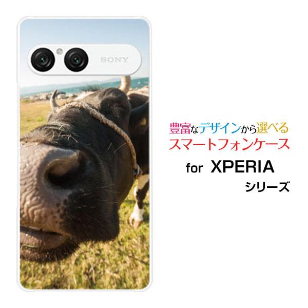 スマホケース XPERIA 10 VII SO-52F SOG16 A502SO ハードケース/TP...