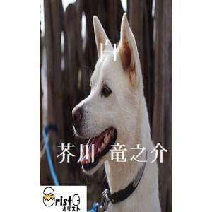 白の商品画像