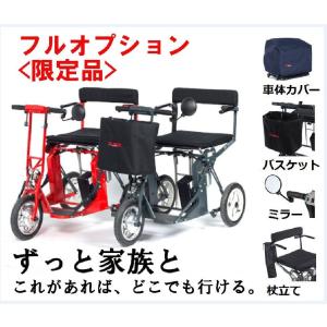 ＜フルオプション限定品＞　全自動 折りたたみ 電動３輪