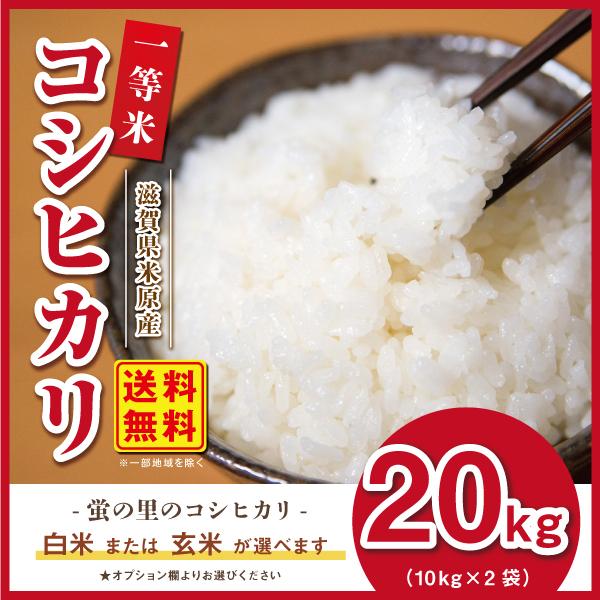 お米 20kg 令和5年産 滋賀県産 農家直送 送料無料 蛍の里のコシヒカリ (10kg×2)