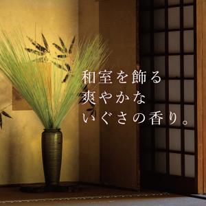 装飾い草 香雅美草の詳細画像3