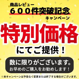 iPhone 17 16e 15 Pro ガラ...の詳細画像1