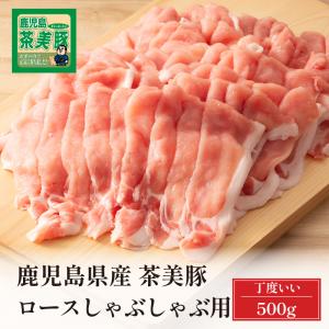 フォーデイズ スパーク ファイア パワーエナジー アミノフォース 24本