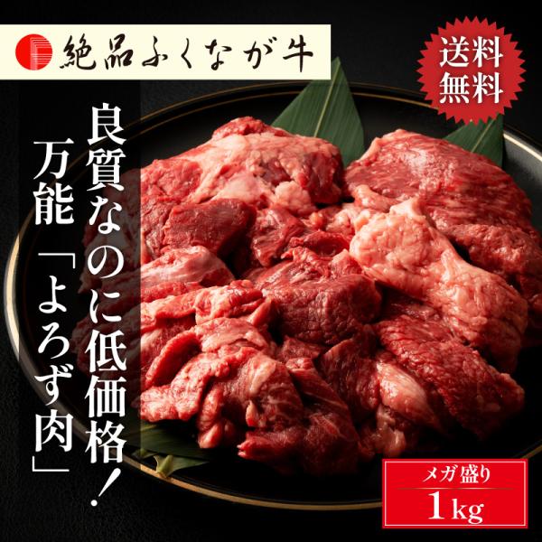 牛肉 切り落とし 塊肉 1kg 絶品ふくなが牛 万能「よろず肉」モモ こま切れ BBQ 焼肉 ステー...