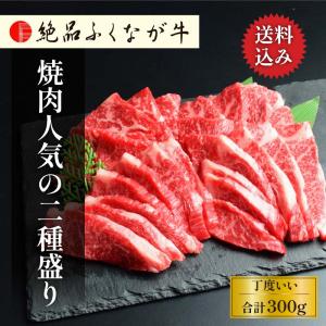 絶品ふくなが牛 交雑種(F1)・焼肉人気の二種盛り 一段300g(ロース・カルビ各150g) ギフト 焼肉セット