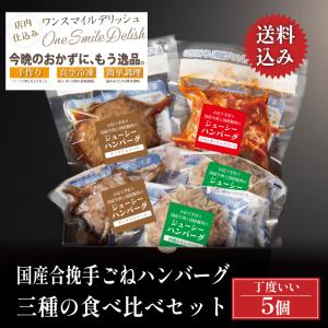 ハンバーグ 国産 合挽 手ごね 三種 食べ比べ セット 5個 デミグラス 和風おろし ガーリックトマト ギフト 爆買