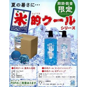 （本州四国 送料無料・数量限定）　健美薬湯　「氷的クール　ボディソープ」　１８Ｌ｜oroshi-chikara