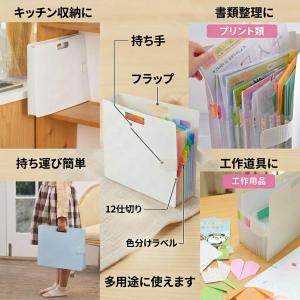 A4サイズ サクラクレパス こまごまファイル ...の詳細画像2