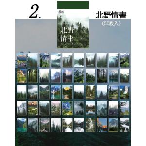 即日出荷 海外 シール マスキングテープ素材 ...の詳細画像2