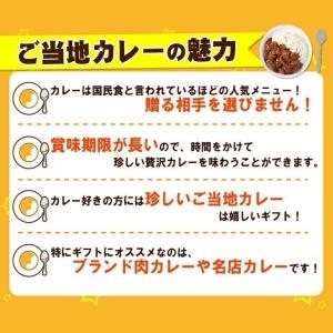 デリー カシミールカレー 2人分 激辛カレー ...の詳細画像5