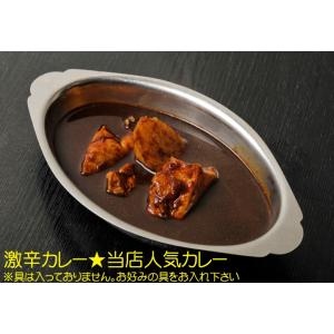 デリー カシミールカレー 2人分 激辛カレー ...の詳細画像4