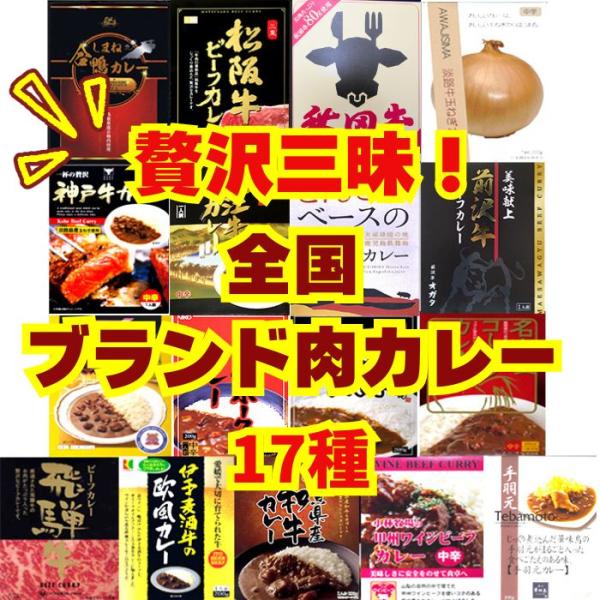 贅沢三昧！全国ブランド肉カレー17種セット ご当地カレーギフト 詰合せ 誕生日  贅沢カレー詰合せ ...