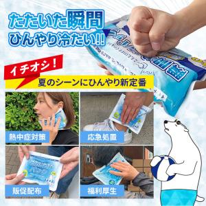 即納 冷却剤 保冷剤 * 白くま瞬間冷却パック...の詳細画像5