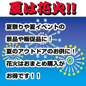 手持ち花火セット はなびーチョ(S)12本入 ...の詳細画像2