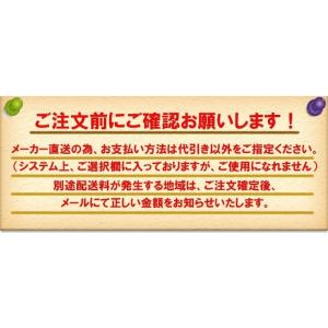 手持ち花火セット はなびーチョ(S)12本入 ...の詳細画像4