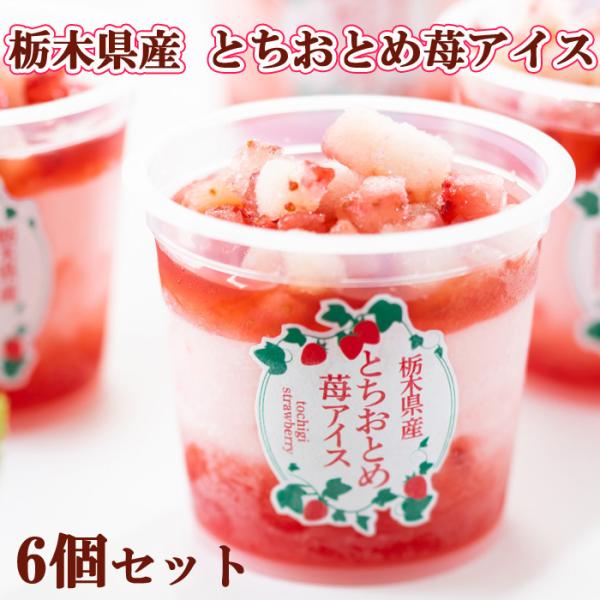 栃木県産とちおとめ 苺アイス 6個セット（EG-T6）いちごアイス