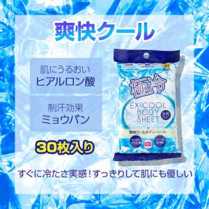 爽快クールボディーシート 大判30枚入 144...の詳細画像1