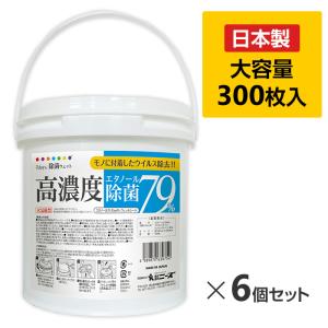 ウェットティッシュ 即納 除菌ウェットティッシュ アルコール フタ付き 100枚入12個セット