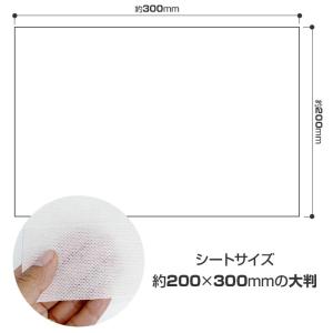 さらさらパウダーINウェットシート大判(5枚入...の詳細画像3