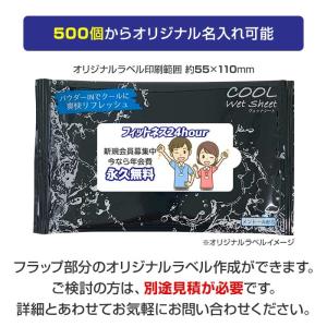 さらさらパウダーINウェットシート大判(5枚入...の詳細画像4