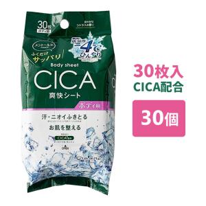爽快クールボディーシート 大判30枚入 48個セット(1c/s) メントール