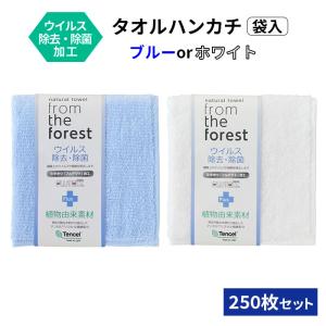 ウイルス除去・除菌加工 タオルハンカチ(袋入れ) ブルーorホワイト 250枚セット(F-20MF2/5)