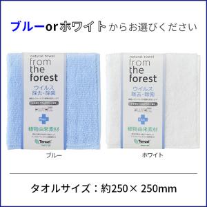 ウイルス除去・除菌加工 タオルハンカチ(袋入れ...の詳細画像5