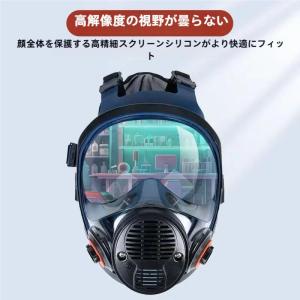 防塵マスク 防毒マスク 黄砂 塵 埃 悪臭防止 スモッグ 塗装 スプレー 実験室 溶接 スムーズな呼吸 立体感 効果 目の保護 日常 専用