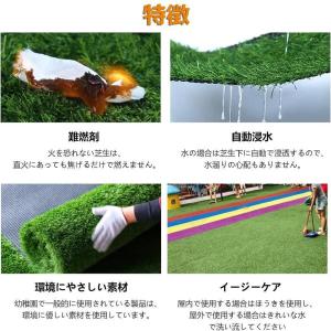耐久性の人工芝 ベランダ?庭用 人工芝 ロール...の詳細画像4
