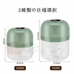 フードプロセッサー 電動 家庭用 軽量 ナッツ...の詳細画像5